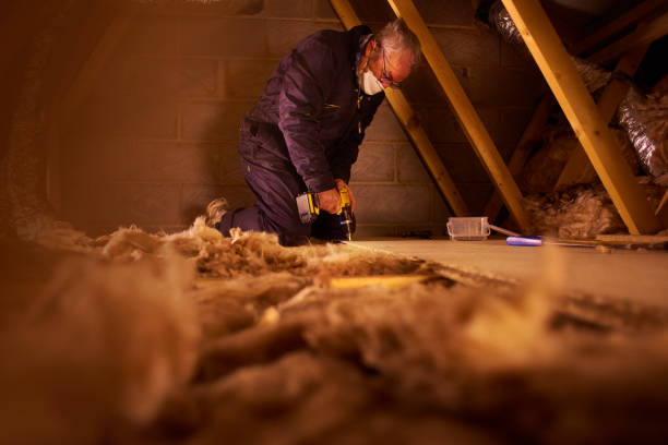 Best Eco-Friendly Insulation in Loudoun Lley Estates, VA